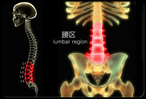 图片来自：medicinenet.com。